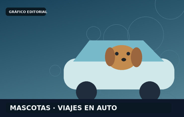 Cuando el viaje en auto estresa al perro: una consulta habitual en Conexión Animal