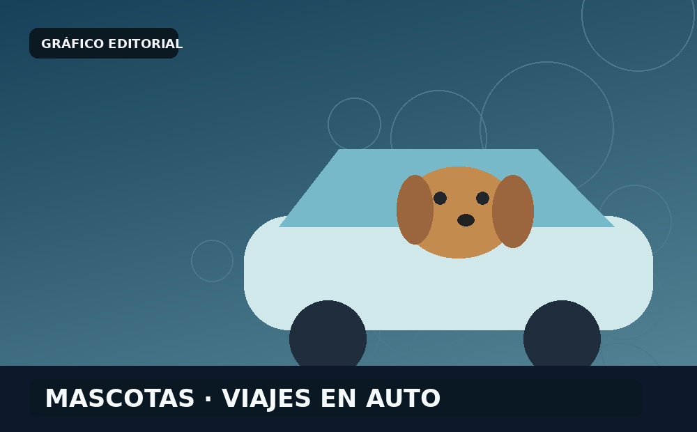 Cuando el viaje en auto estresa al perro: una consulta habitual en Conexión Animal