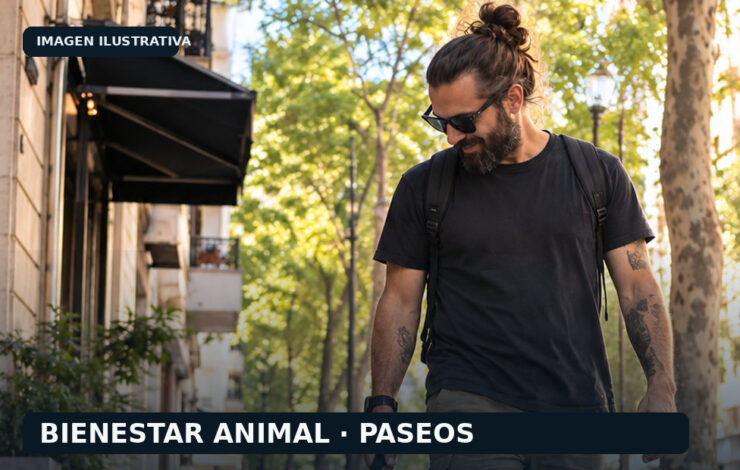 Salir al baño y salir a pasear: una diferencia que importa en la rutina del perro